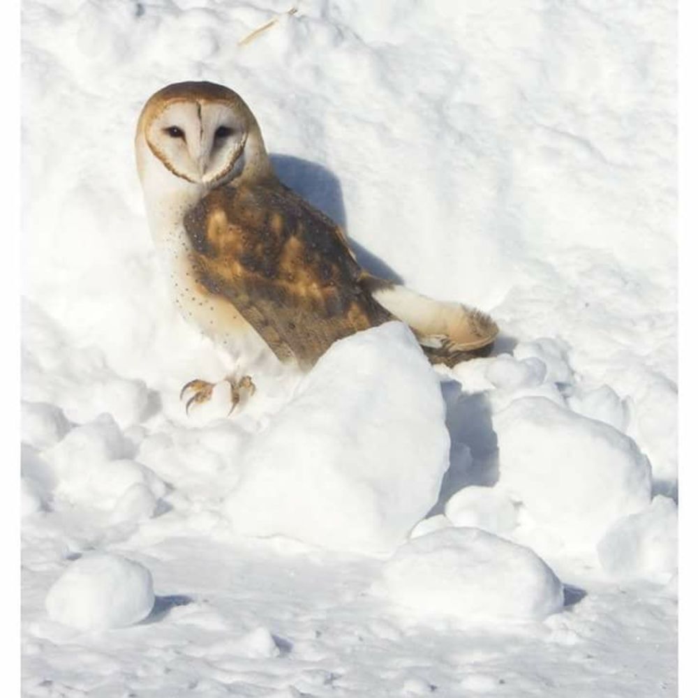 Meet your Posher, Makayla